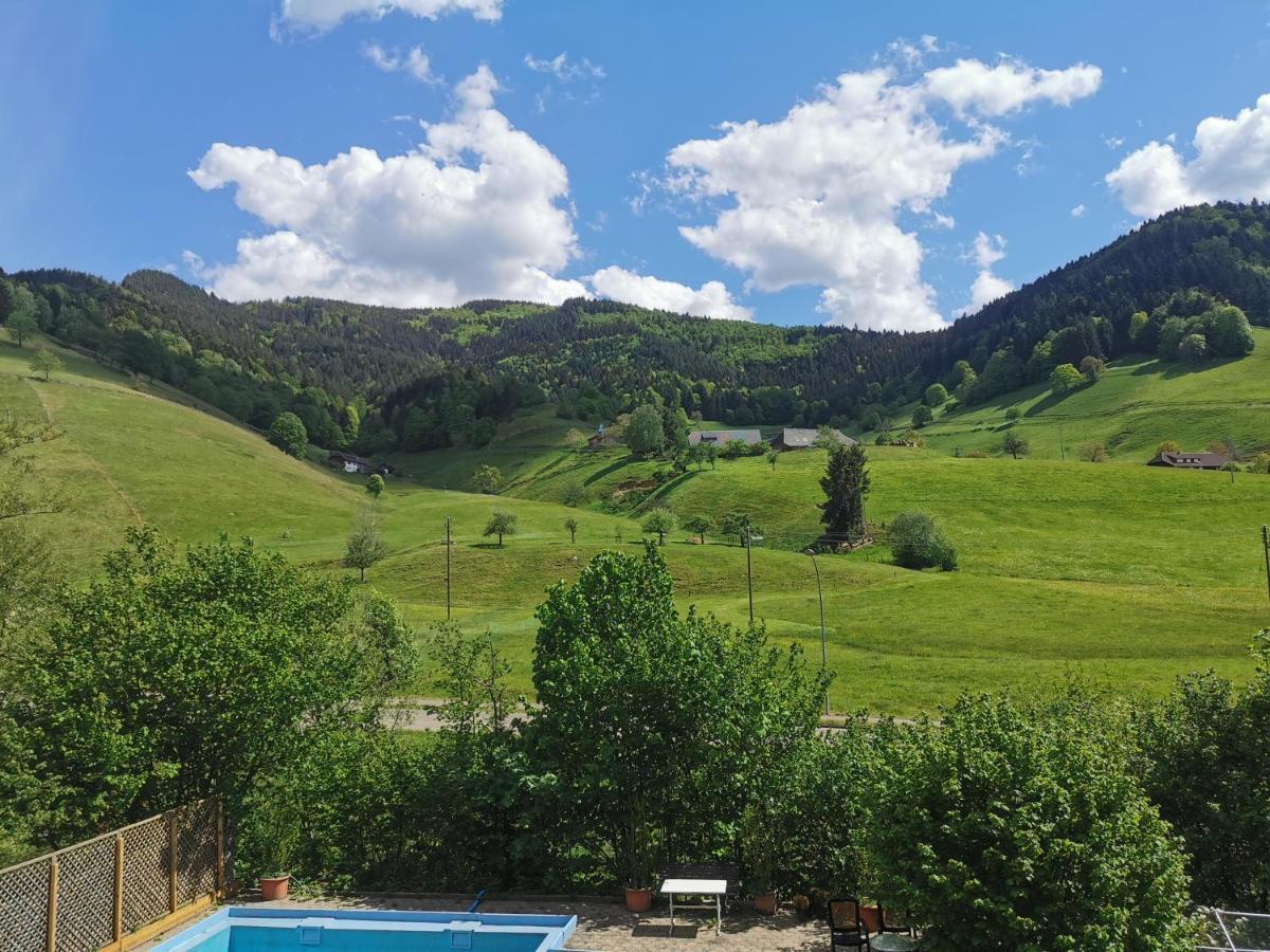 Ferienwohnung Vogelsang Im Schwarzwald Мюнстерталь Экстерьер фото