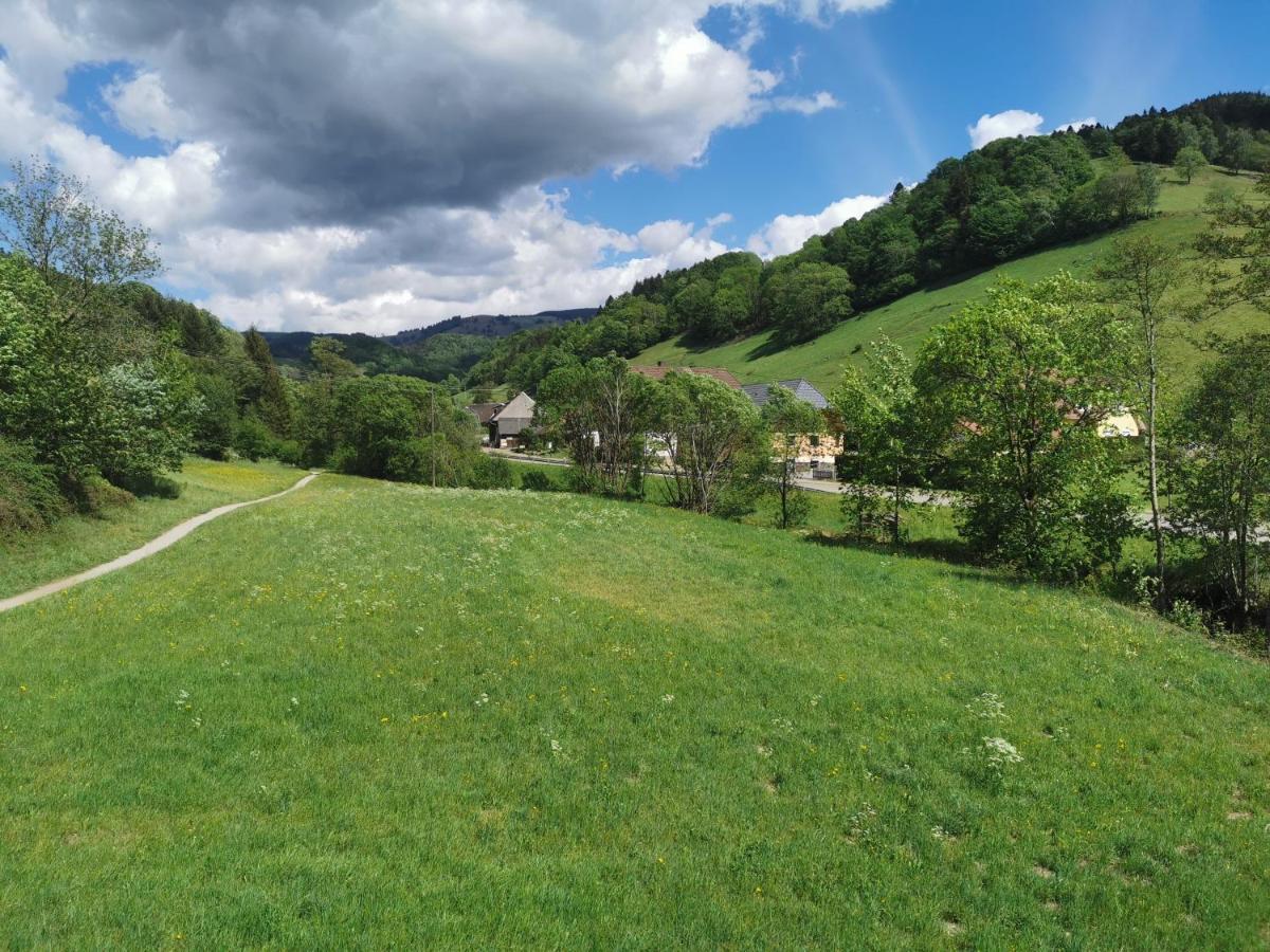 Ferienwohnung Vogelsang Im Schwarzwald Мюнстерталь Экстерьер фото