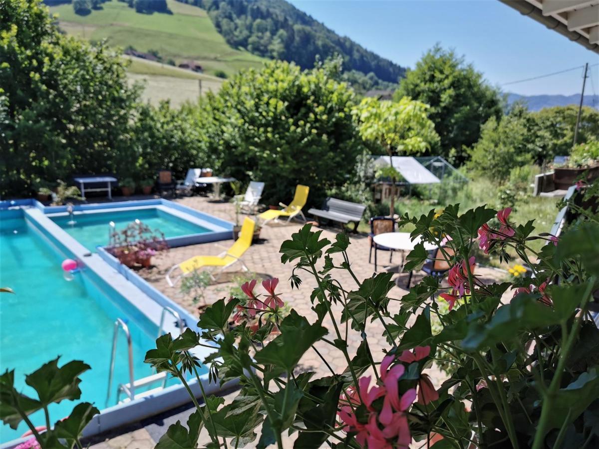 Ferienwohnung Vogelsang Im Schwarzwald Мюнстерталь Экстерьер фото