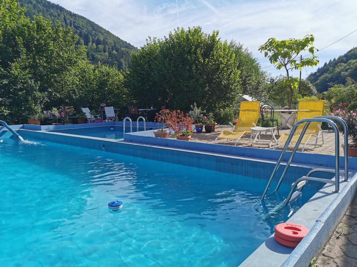 Ferienwohnung Vogelsang Im Schwarzwald Мюнстерталь Экстерьер фото