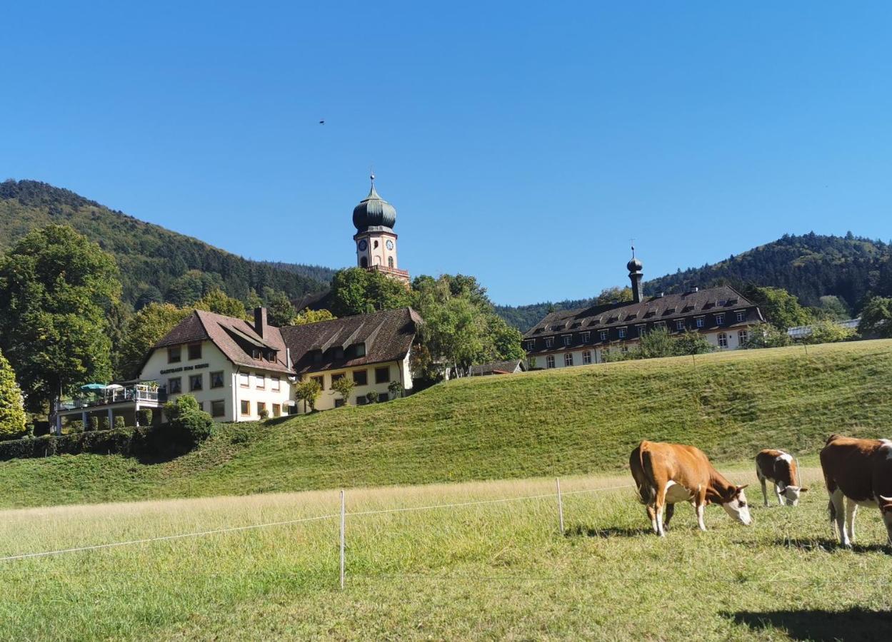 Ferienwohnung Vogelsang Im Schwarzwald Мюнстерталь Экстерьер фото