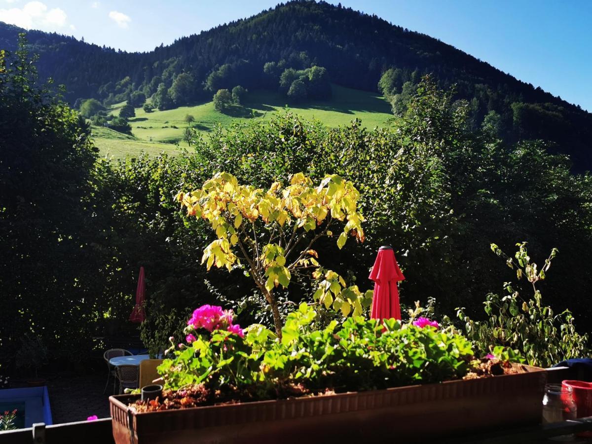 Ferienwohnung Vogelsang Im Schwarzwald Мюнстерталь Экстерьер фото