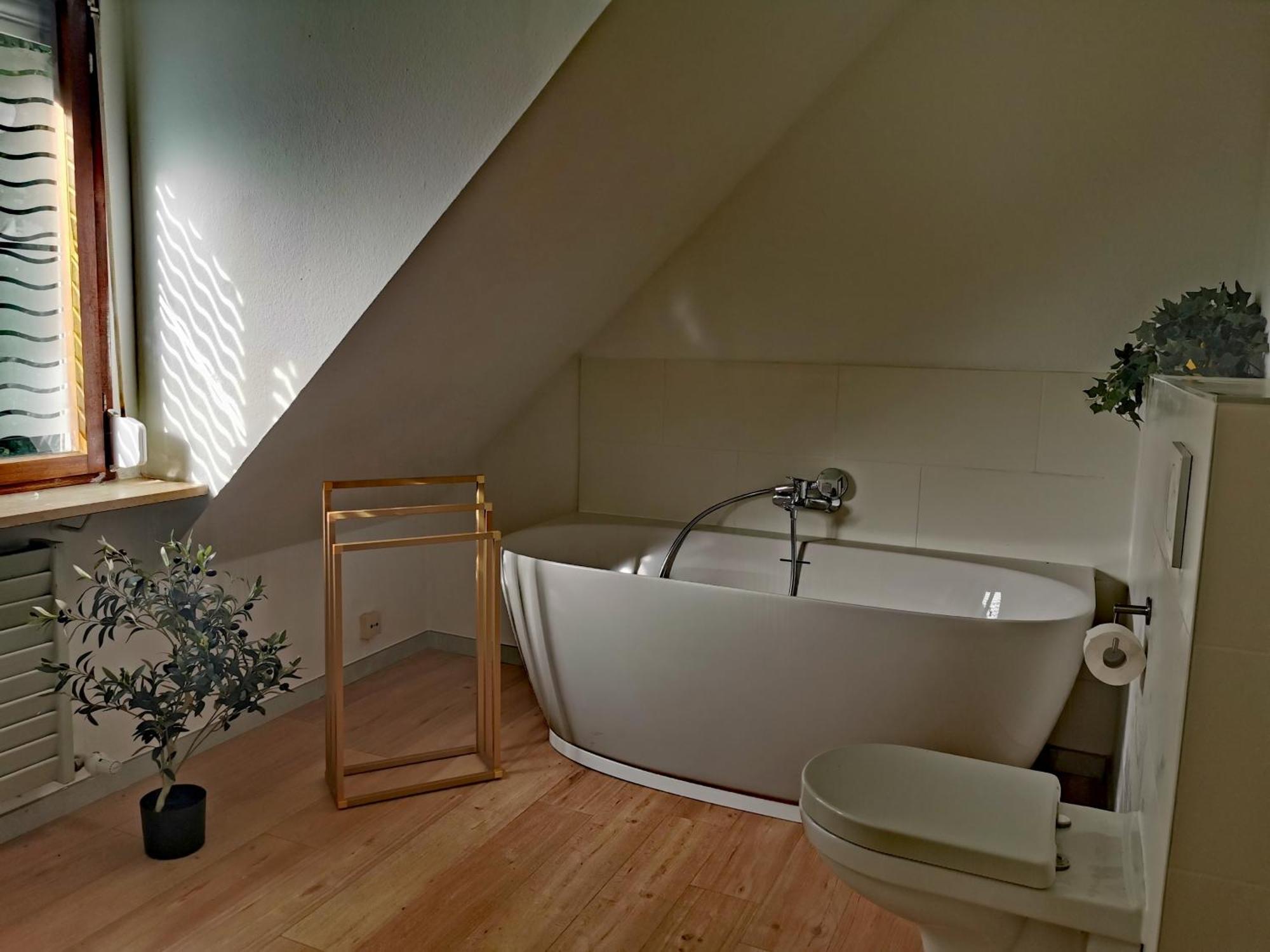 Ferienwohnung Vogelsang Im Schwarzwald Мюнстерталь Экстерьер фото
