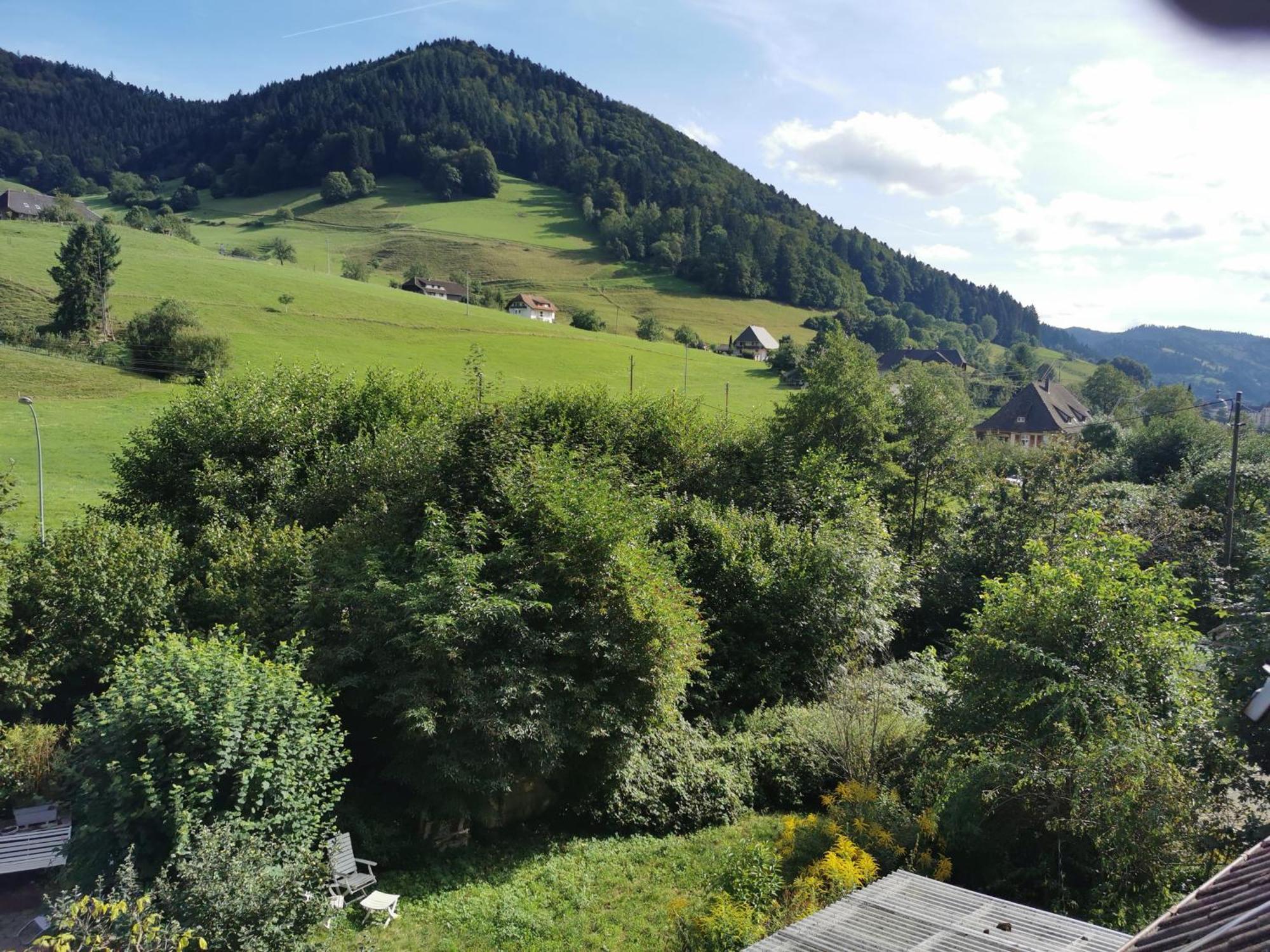 Ferienwohnung Vogelsang Im Schwarzwald Мюнстерталь Экстерьер фото